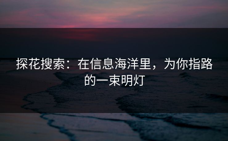 探花搜索：在信息海洋里，为你指路的一束明灯