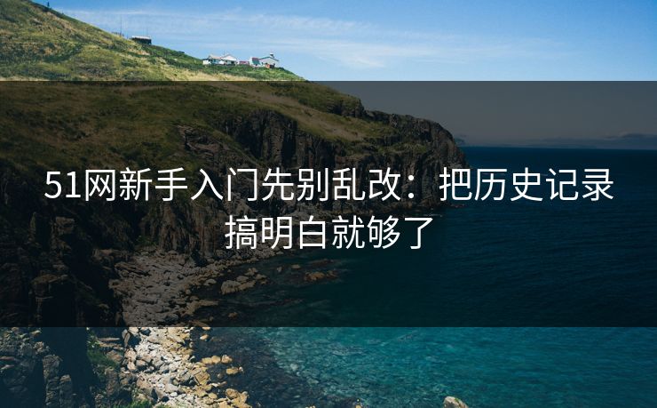 51网新手入门先别乱改：把历史记录搞明白就够了